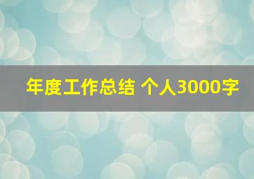 年度工作总结 个人3000字